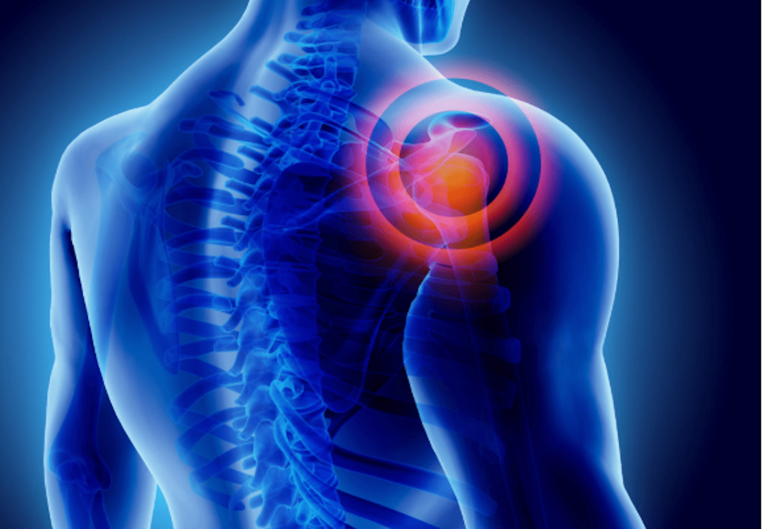 joint replacement surgeon in paldi ahmedabad